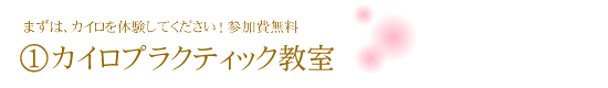 まずはカイロを体験してください!参加費無料!カイロプラクティック教室